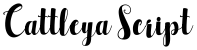 Cattleya Script font