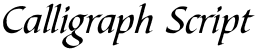 Calligraph Script font